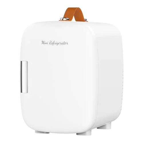 Compact Mini Fridge for Skincare and Snacks, Ideal for Dorms review
